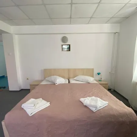 Guest house Pensiunea Ambasador
