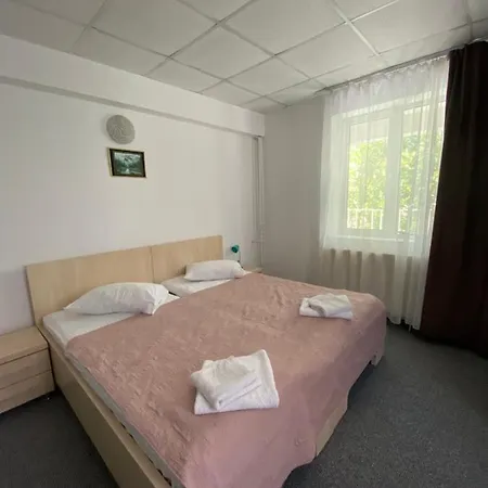 Pensiunea Ambasador Guest house *