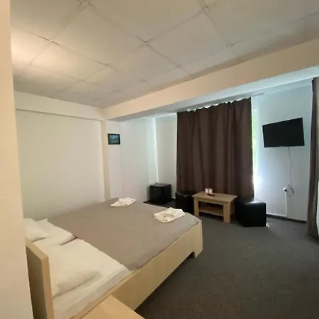 Pensiunea Ambasador Guest house *