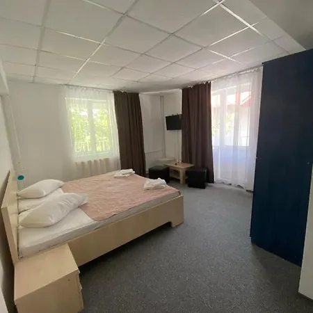 Pensiunea Ambasador Guest house Baile Herculane