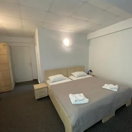 Pensiunea Ambasador Guest house