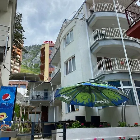 Pensiunea Ambasador Guest house